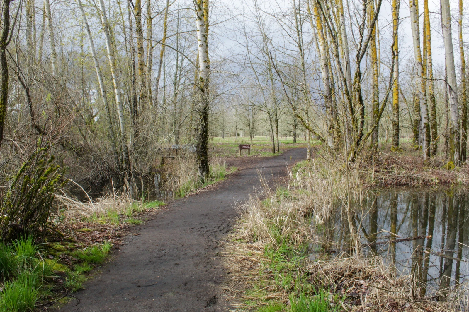 Wooded trail between natural ponds at Tualatin River refuge; not a Canby park