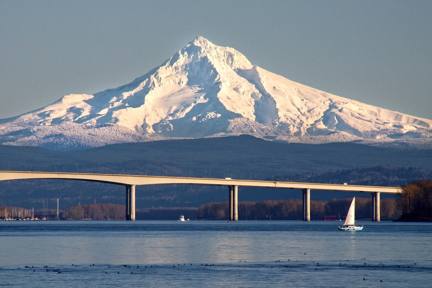 Mount Hood beyond the Columbia River and Glenn Jackson Bridge, regional archive