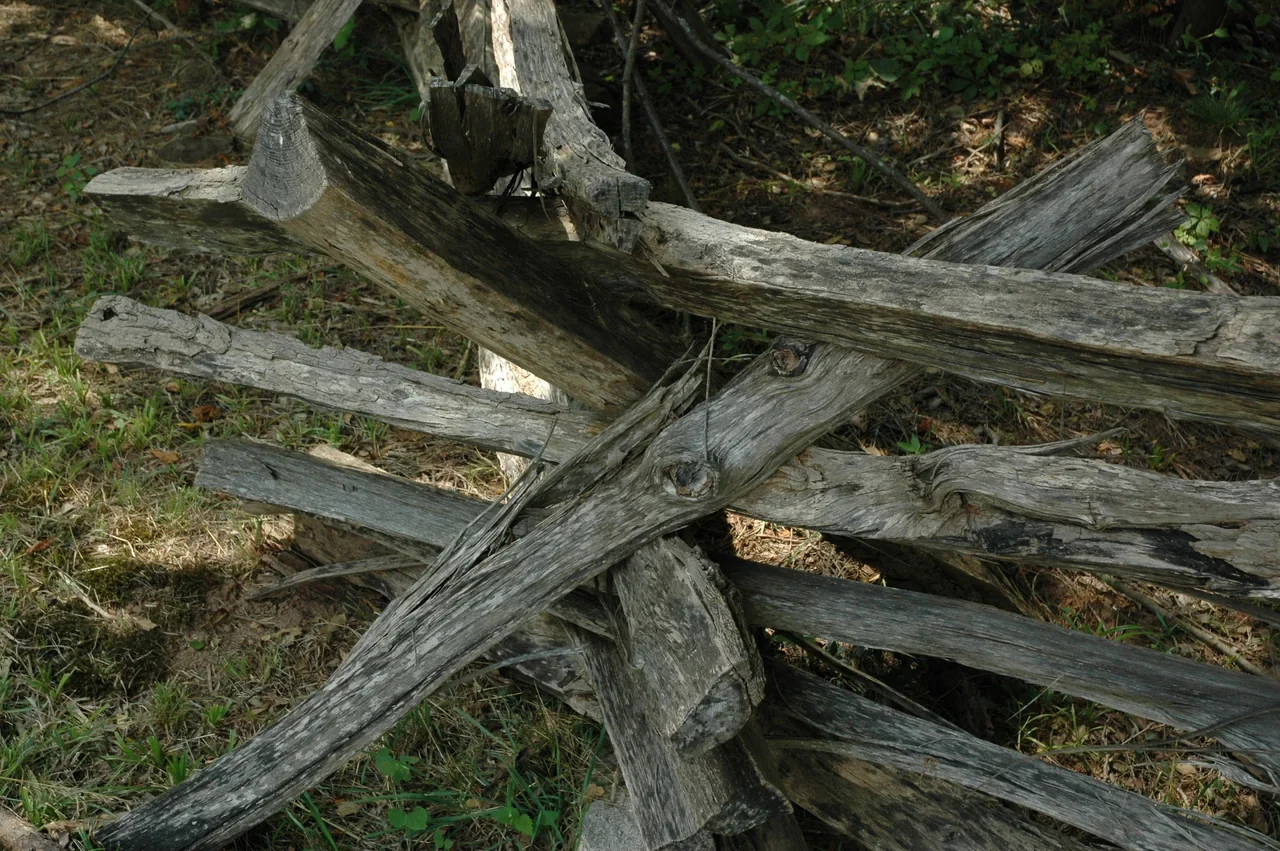 Zigzag worm fence and rural setting at Manassas battlefield, NPS archive