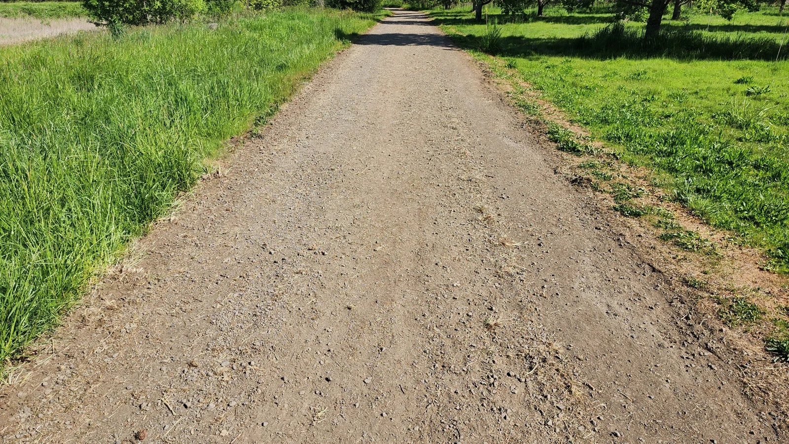 Archive gravel surface of seasonal Wetland Trail at Tualatin River refuge in Sherwood
