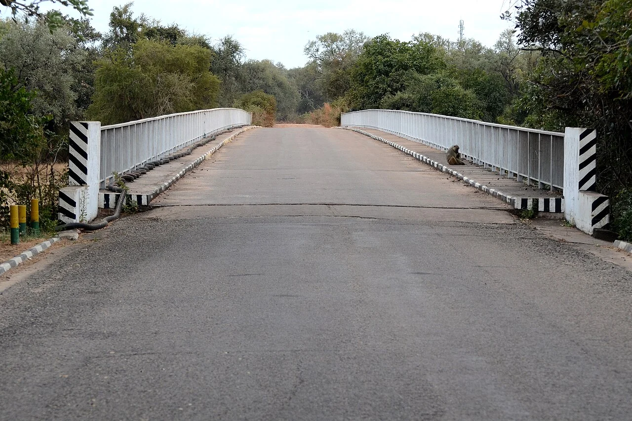 Bridge approach to South Luangwa; Geoff Gallice, 10 July 2011, not evidence of current road conditions