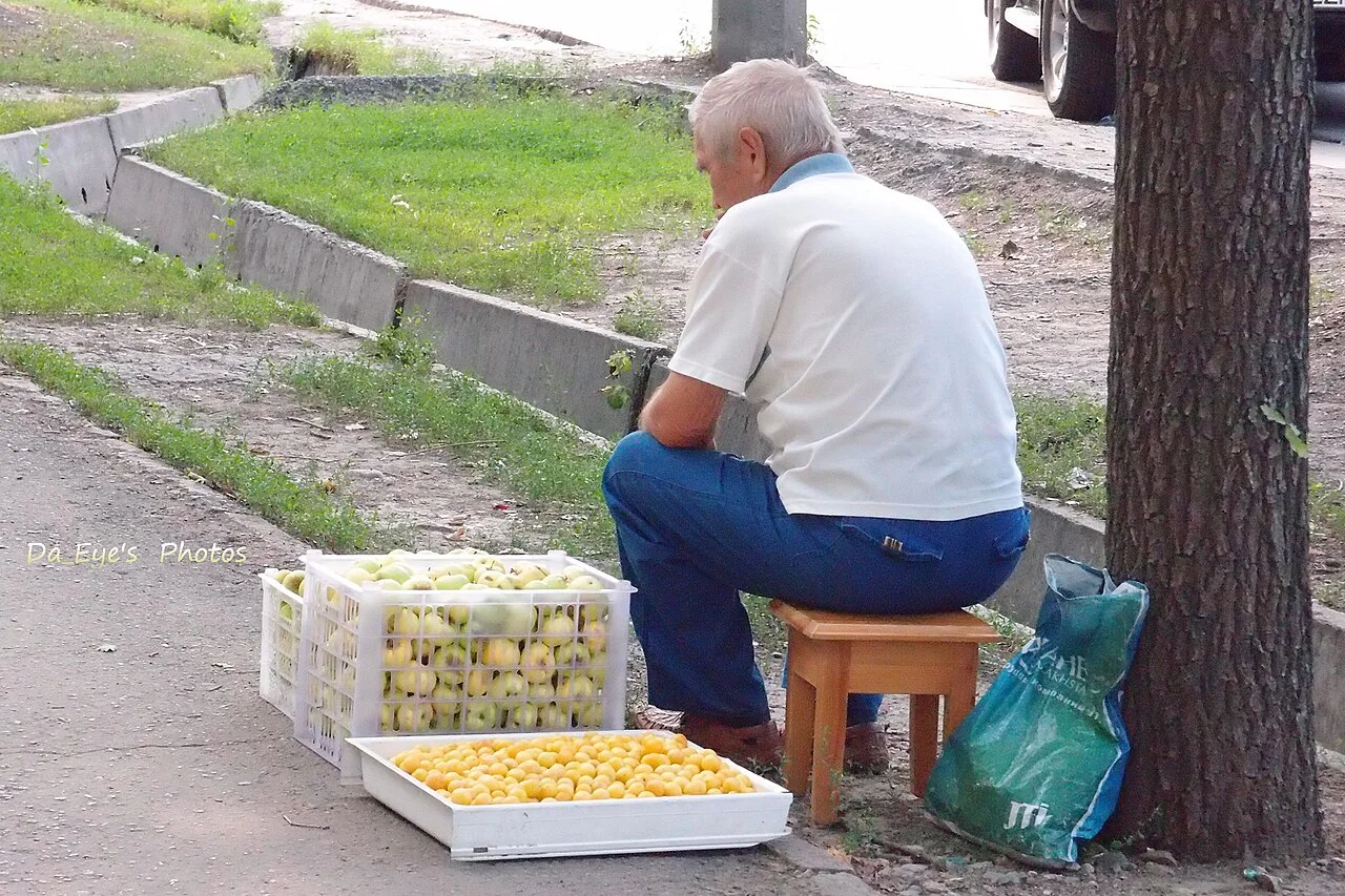 Almatı’da sokakta meyve satan kişi, Temmuz 2011 arşiv fotoğrafı