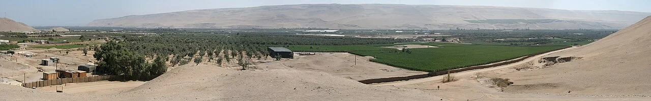 Arica yakınındaki Azapa Vadisi panoraması, 2008