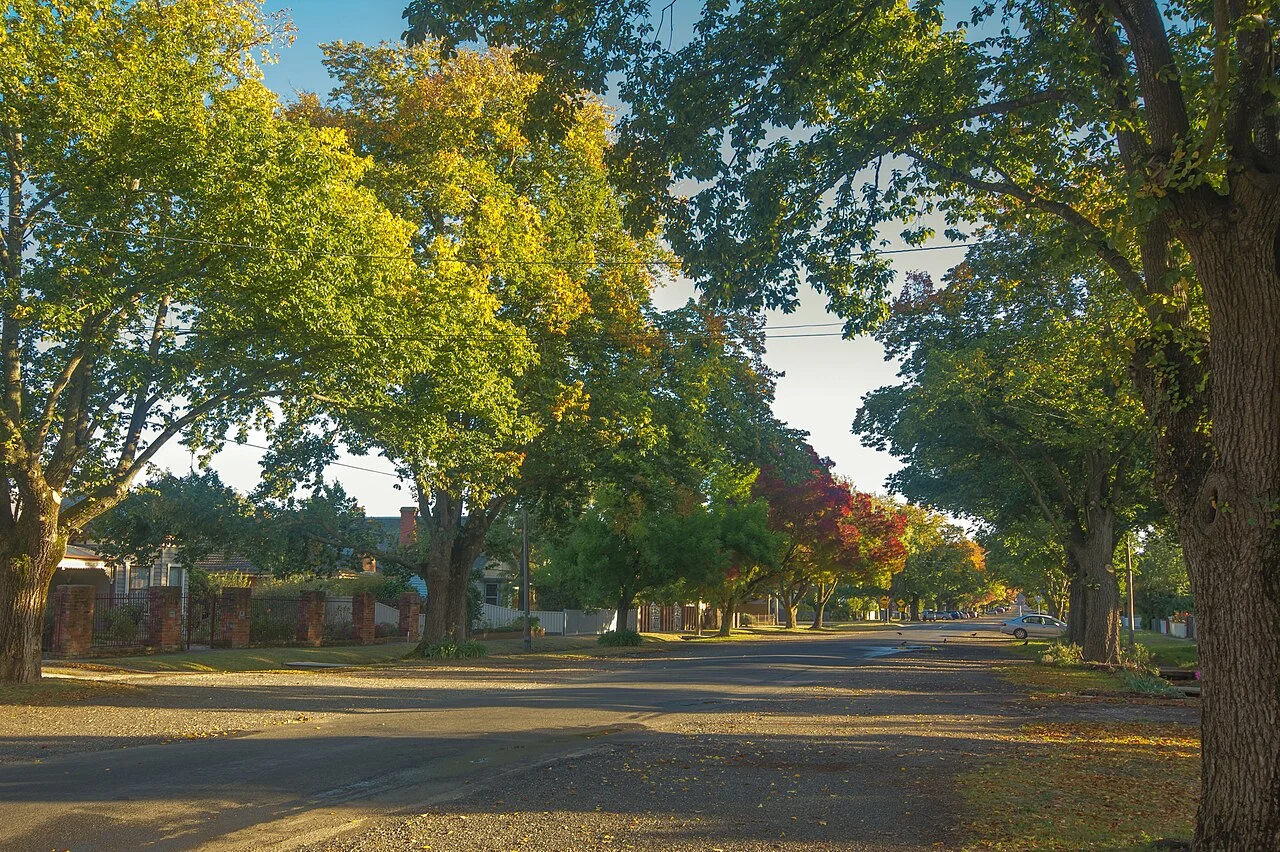 Ballarat Redan semtinde Ascot Street South, Mart 2020; kent merkezindeki Lydiard Street değildir