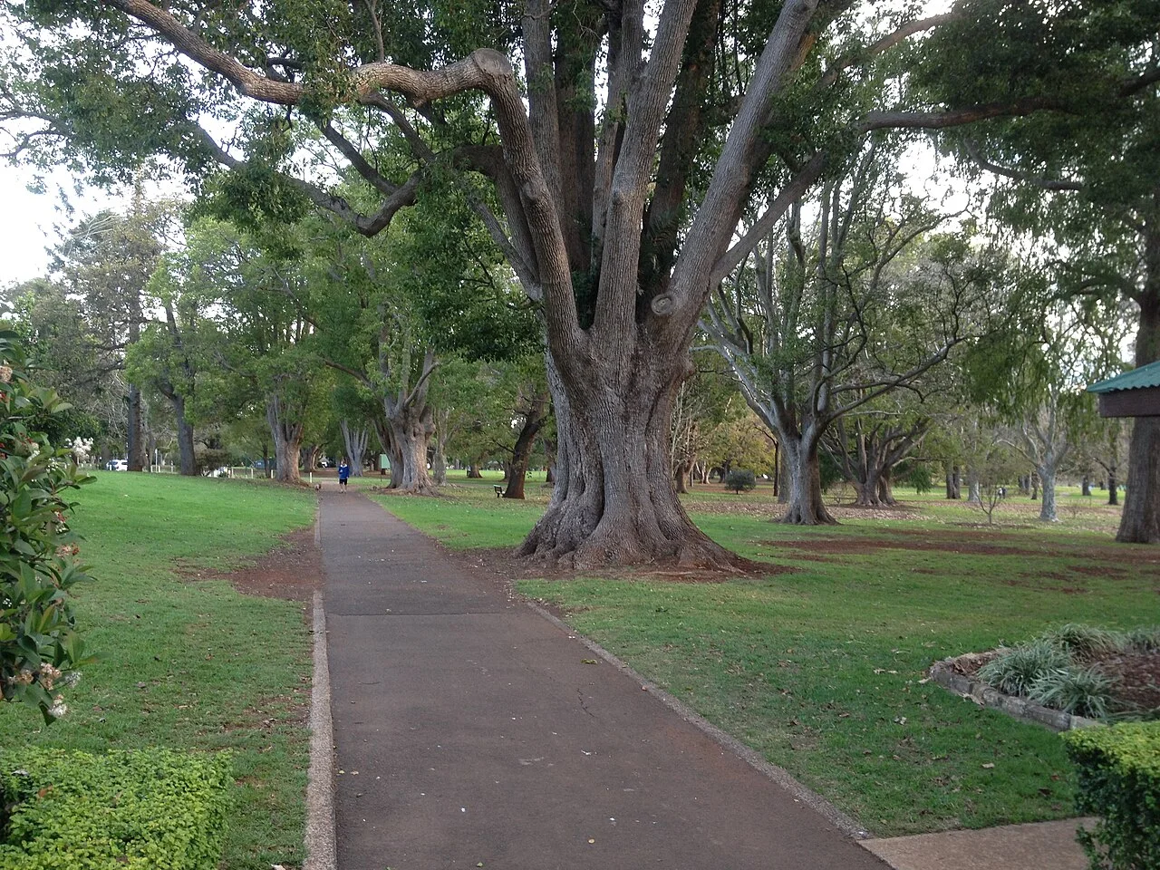 Queens Park in Toowoomba, June 2014