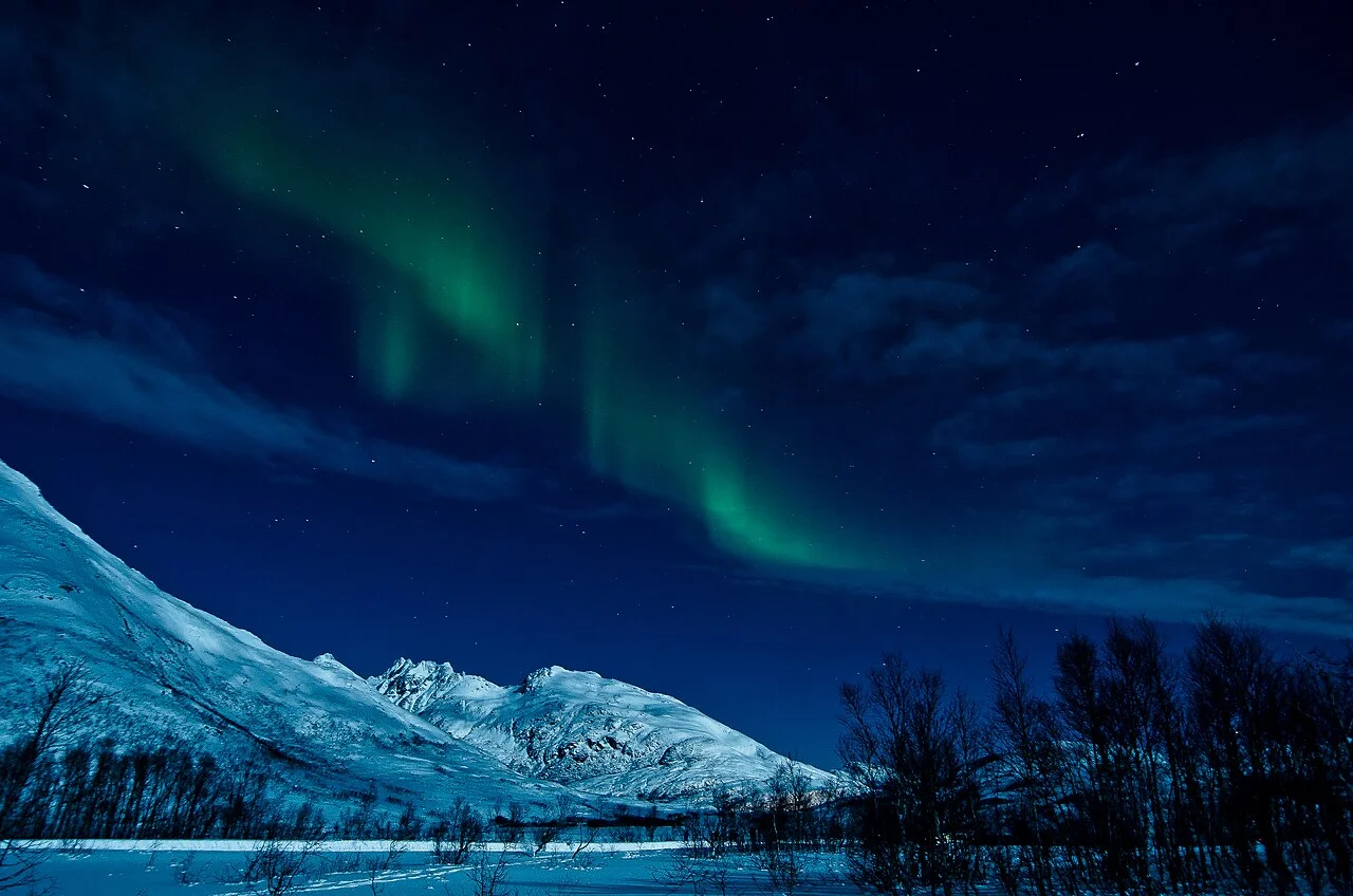 Northern lights near Tromsø, Norway; Andi Gentsch, 26 January 2013.