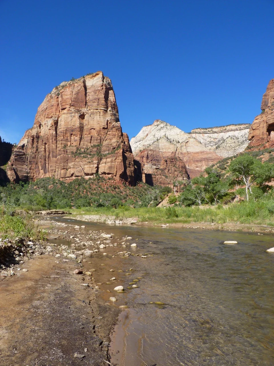 Angels Landing cliffs beside the Virgin River, NPS archive