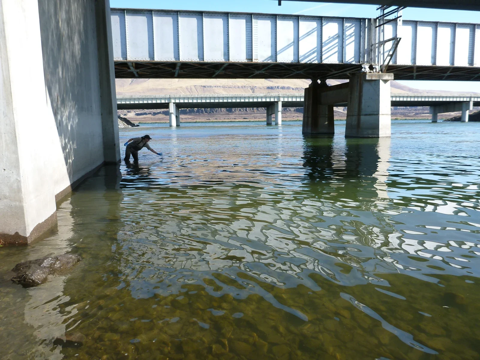 Deschutes Nehri’nde 2022 bilimsel eDNA örneklemesi; halka açık etkinlik değildir