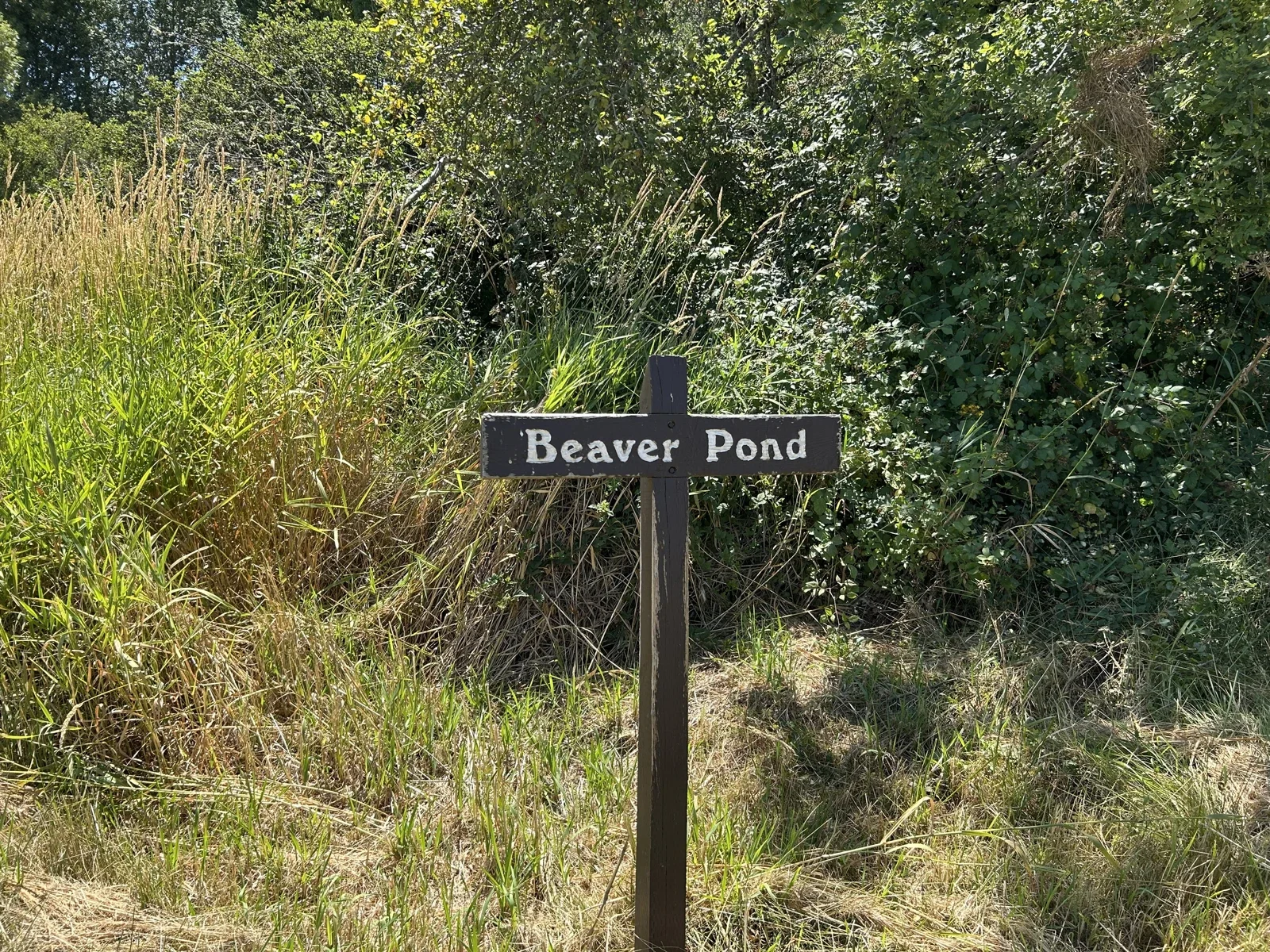 Finley sığınağındaki Beaver Pond parkur tabelası; mevsimlik erişimi kontrol edin