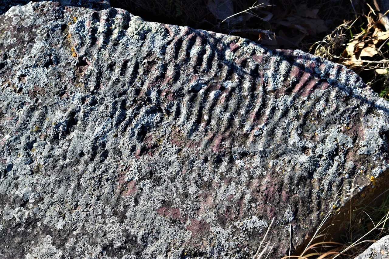 Pipestone kuvarsitindeki dalgalı yüzey izleri, NPS arşivi
