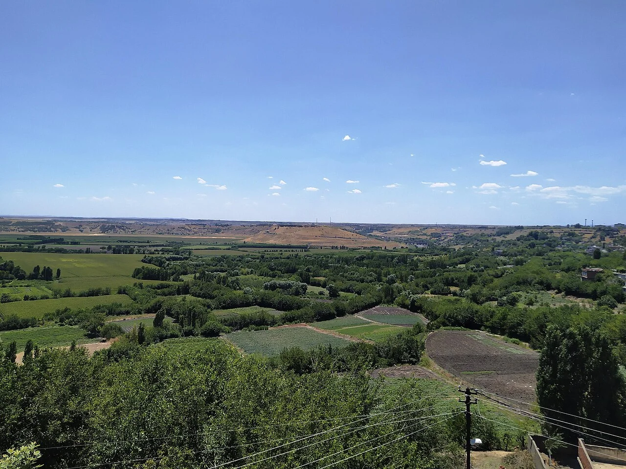 Green landscape of Hevsel Gardens in Diyarbakır, July 2022; environment, not a restaurant or food-sourcing image.