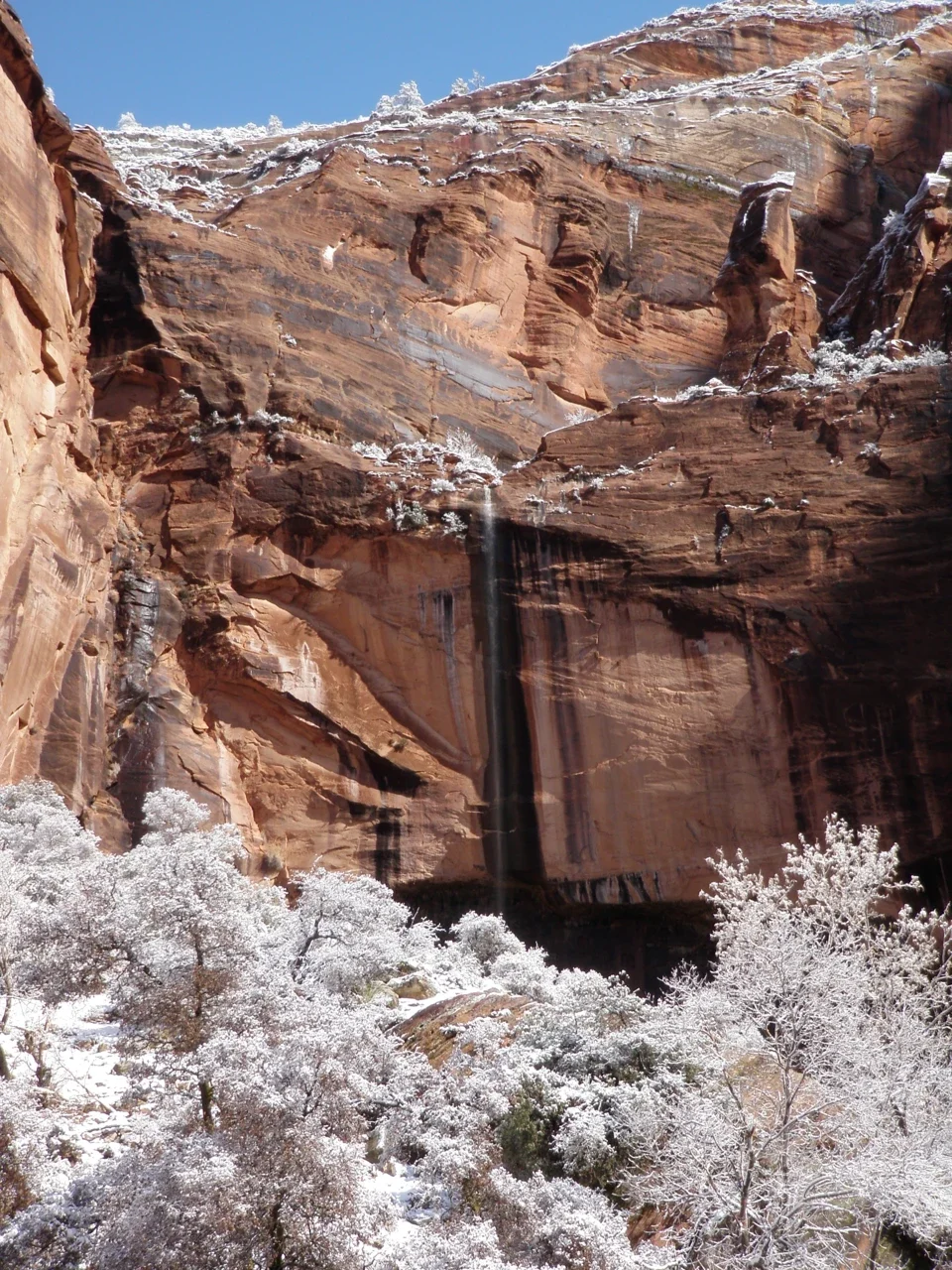 Snow and ice on a Zion cliff in winter, NPS archive