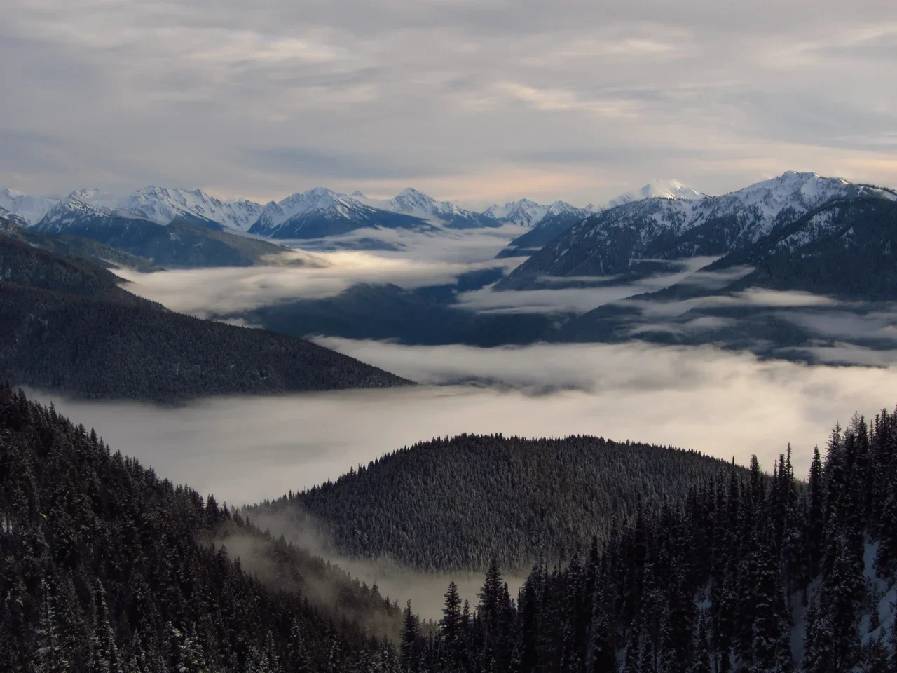 Snow-covered Olympic Mountains above cloud-filled valleys; archive photograph from 2011