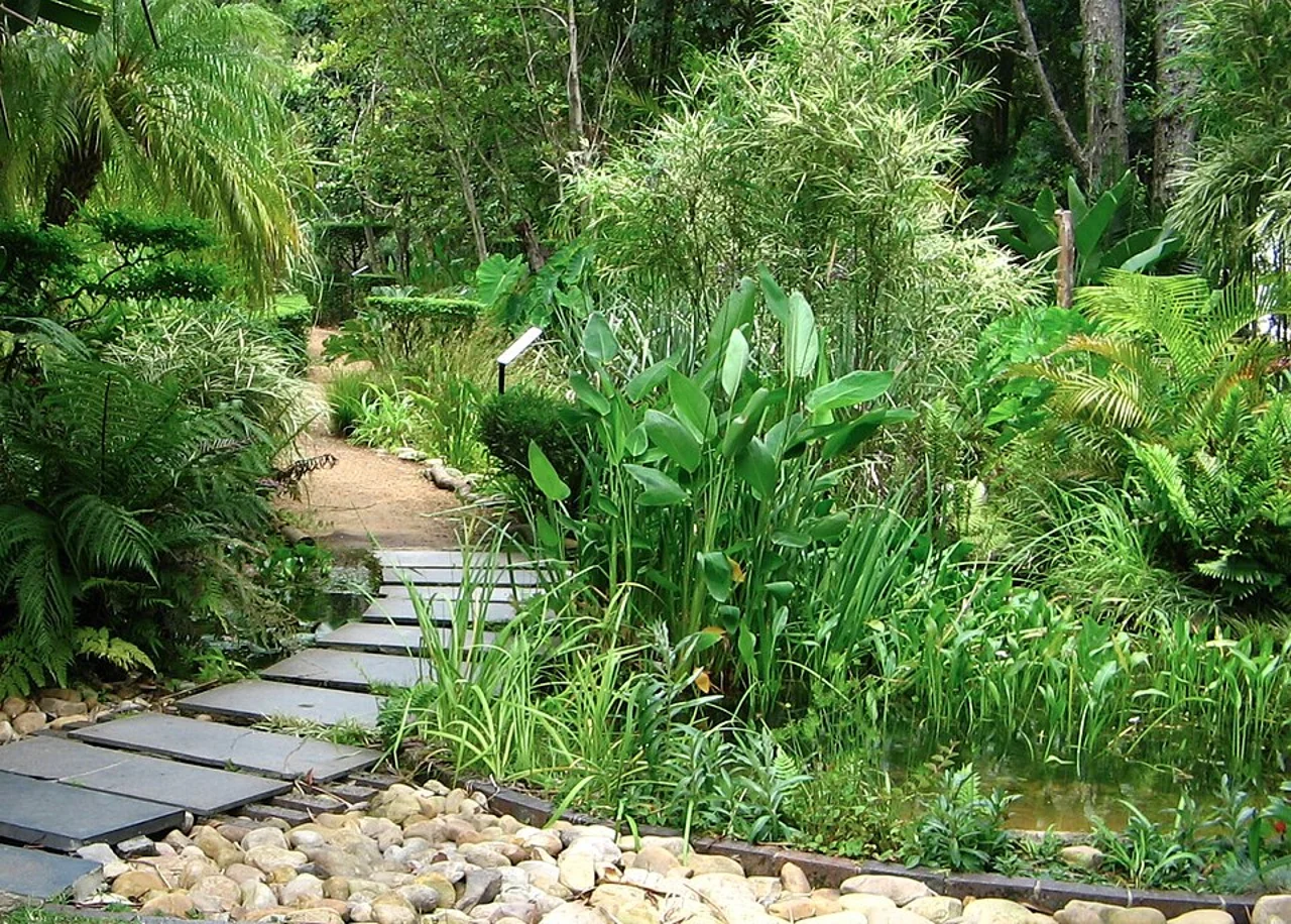 Stellenbosch University Botanical Garden’ın 2004 tarihli genel bahçe görünümü; Martin F. Smit at English Wikipedia, 23 Aralık 2004, güncel düzen garantisi yok