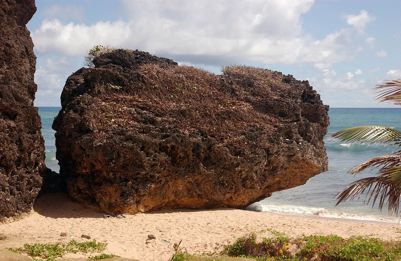Natural coastal rock at Bathsheba, Barbados, 2005