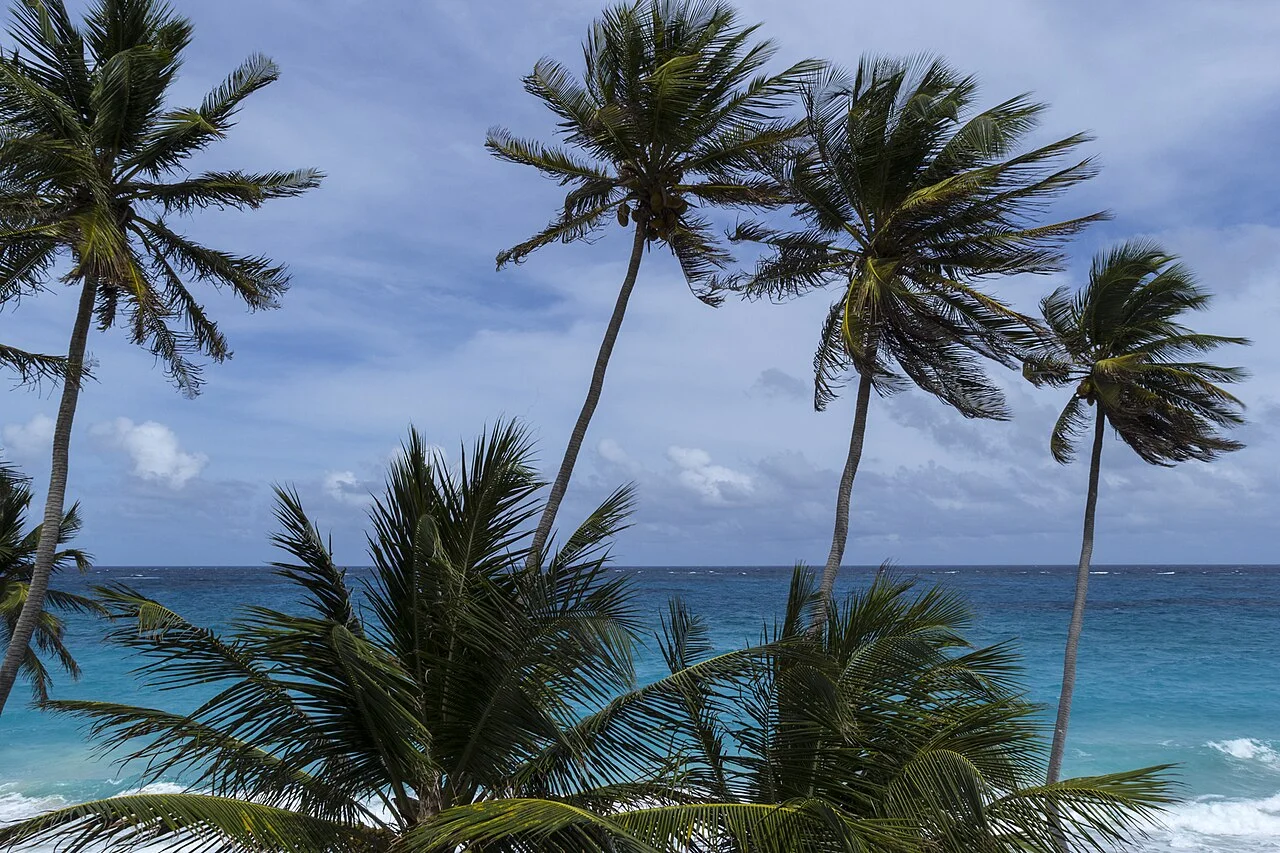 Bottom Bay on the eastern coast of Barbados, 2013