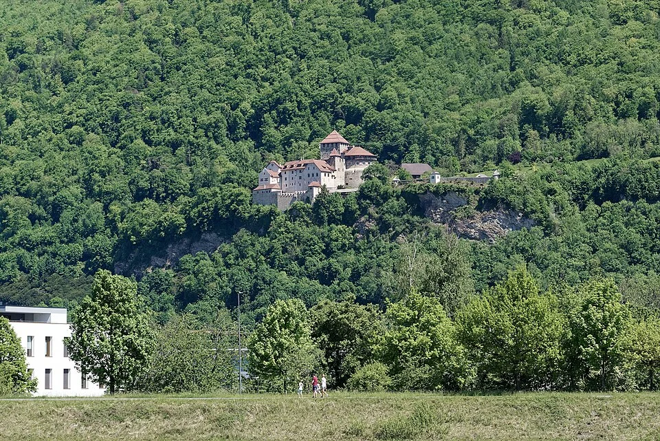 Lihtenştayn Vaduz Kalesi ve ormanlık yamaç