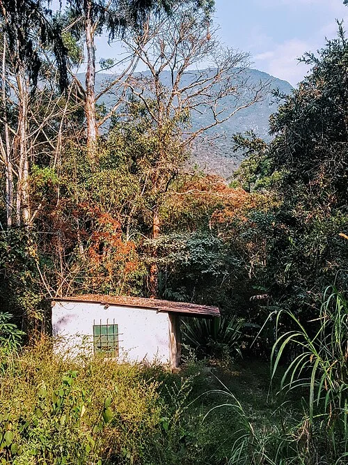Green slopes and a small structure in Bolivia’s Cotapata area, 2023