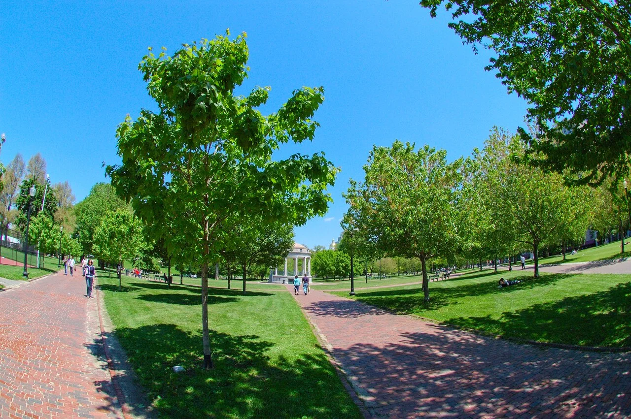 Boston Common parkı, 2005