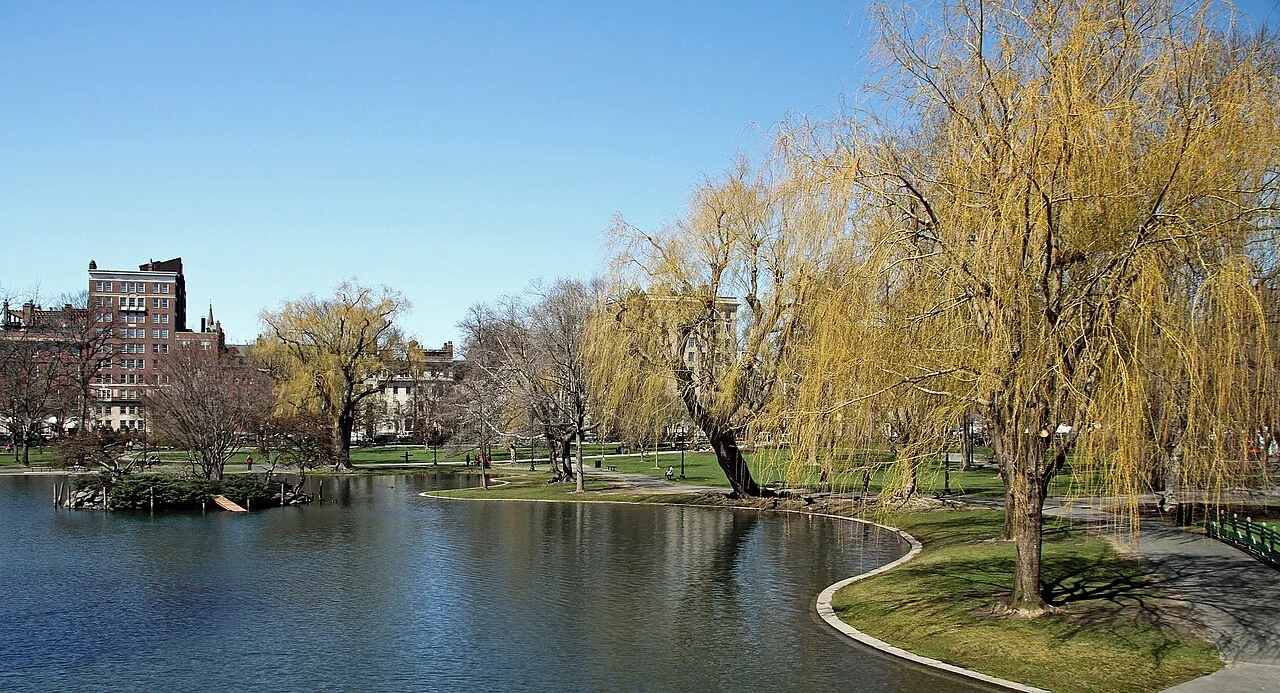 Boston Public Garden gölet ve ağaçları, 2016