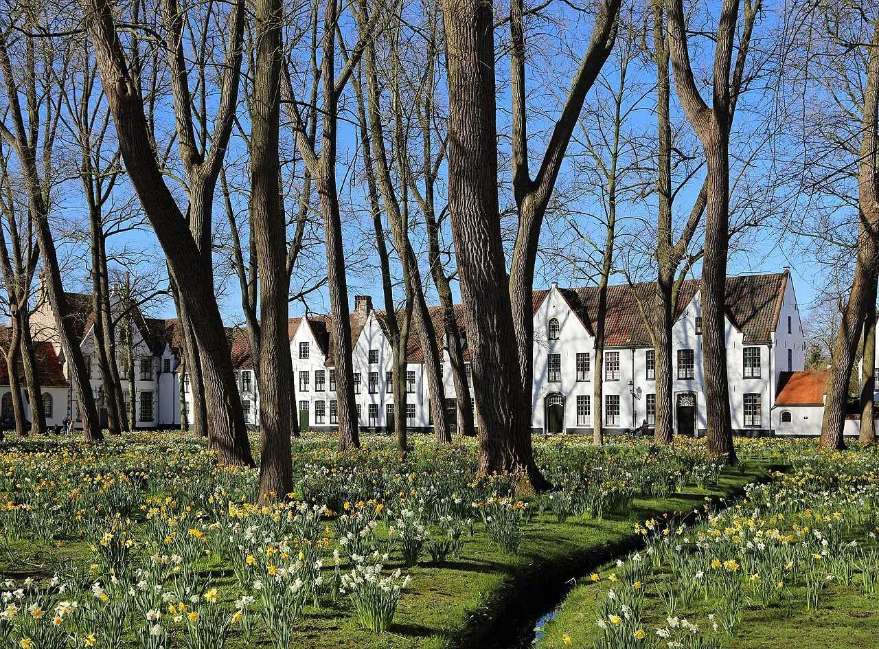 Trees and white house fronts in Bruges Beguinage courtyard; photograph taken 10 April 2016.