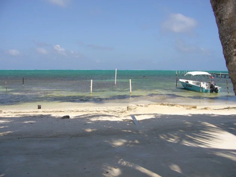 Eastern shore of Caye Caulker, Belize, 2008