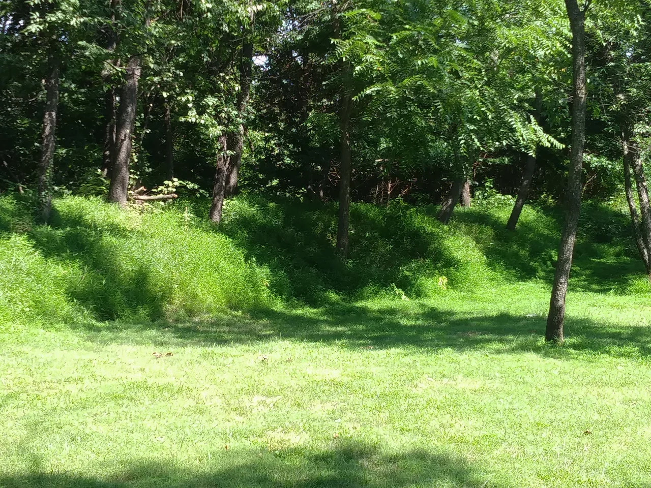 Archival view of preserved earthwork ditches at public Star Fort