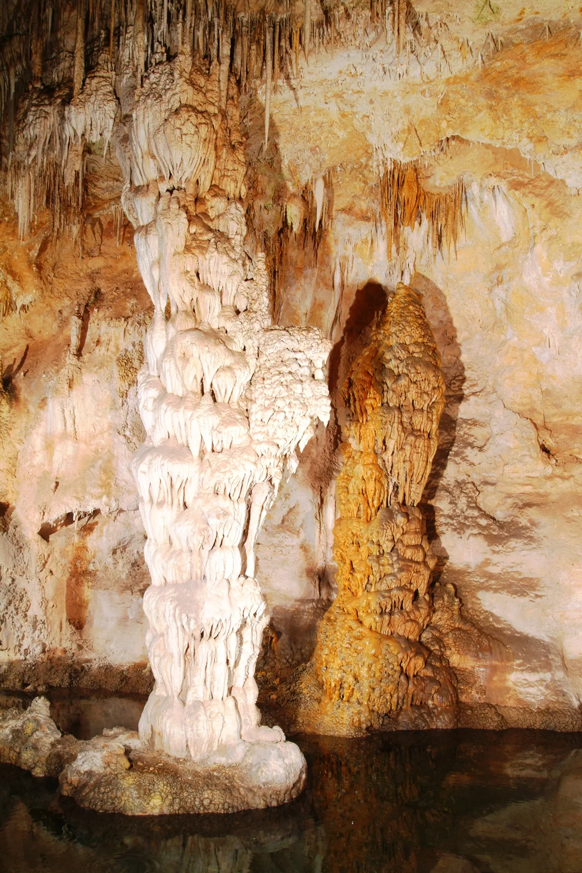 Archival Devil’s Spring column and cave pool on the Natural Entrance route at Carlsbad Cavern