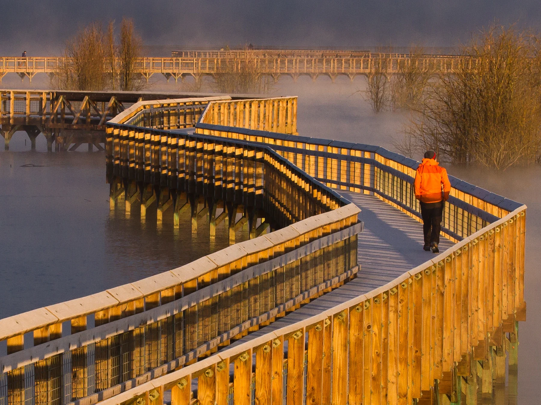 Nisqually Estuary Boardwalk üzerinde gün doğumunda yürüyen ziyaretçi; 2015 arşivi