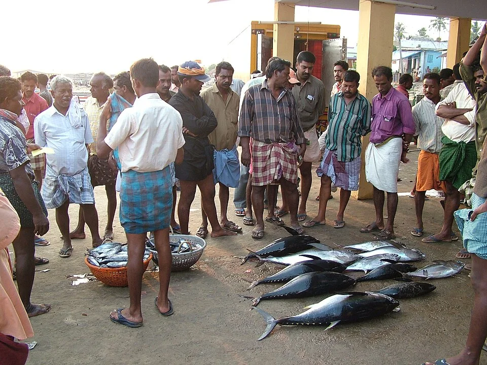 Historical view of a fish auction at Kollam fishing harbour