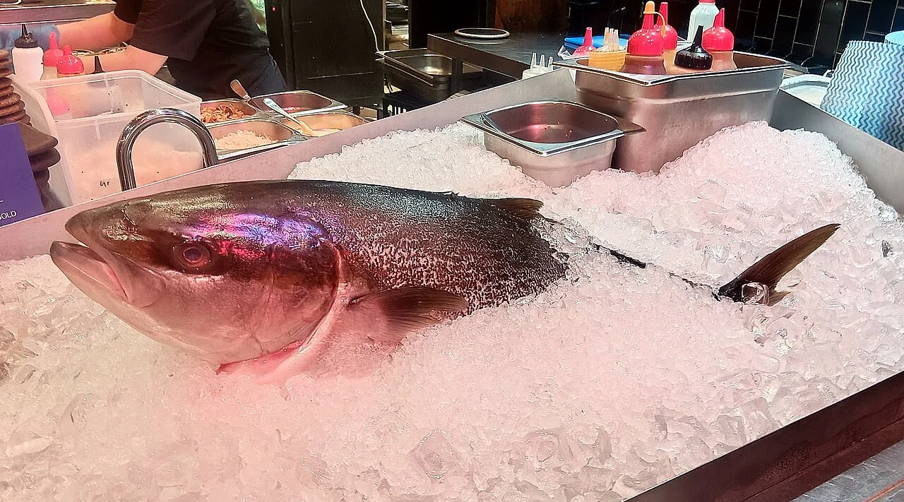 A whole yellowtail kingfish on ice at Akiba restaurant in Canberra, April 2026
