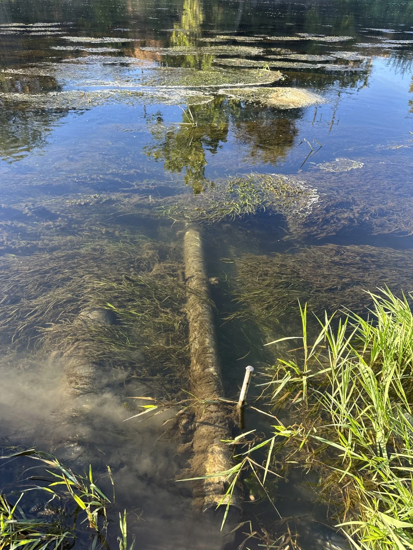 Pipe protecting monitoring equipment in the lower Yakima River; not Ellensburg