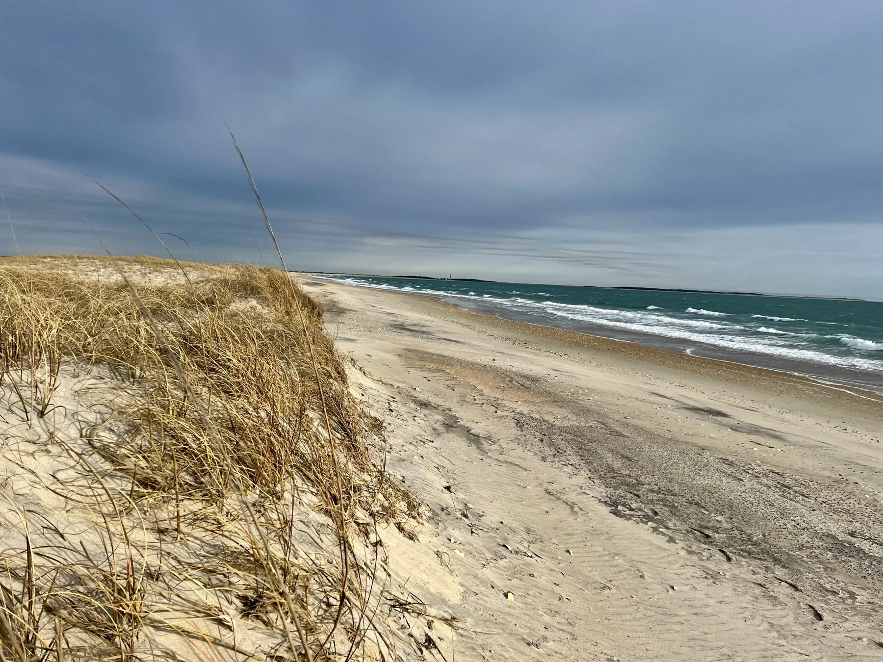 Natural dunes and ocean at Cape Lookout