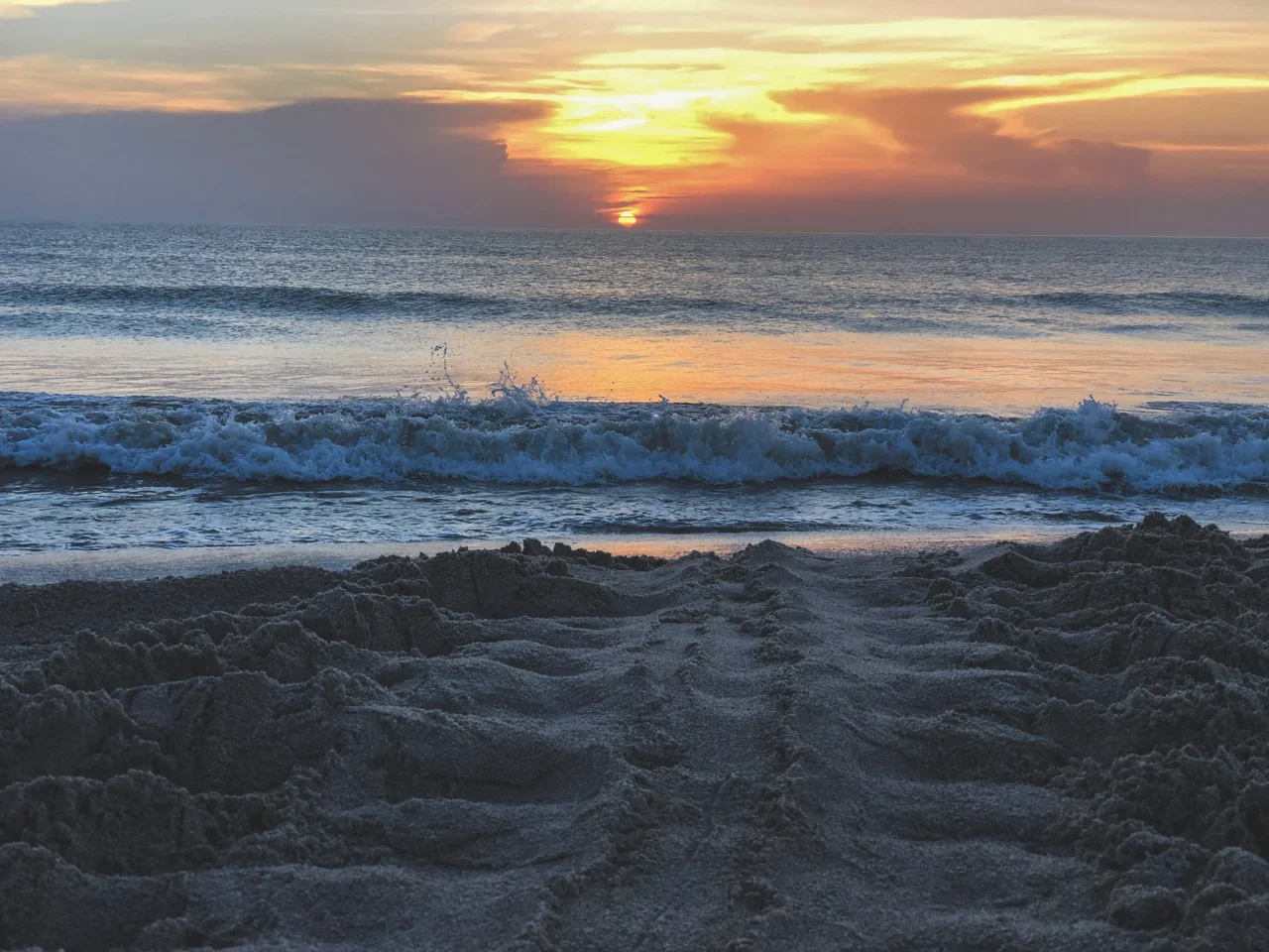 Turtle tracks in sand with ocean waves and low sun