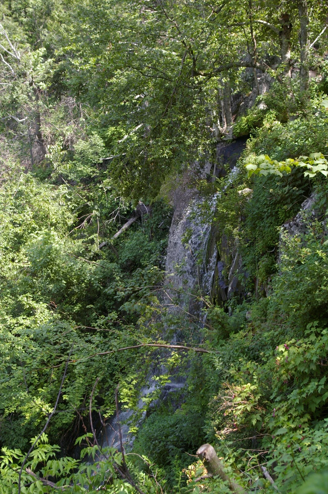 Shenandoah National Park ormanında uzaktan görülen Lewis Falls
