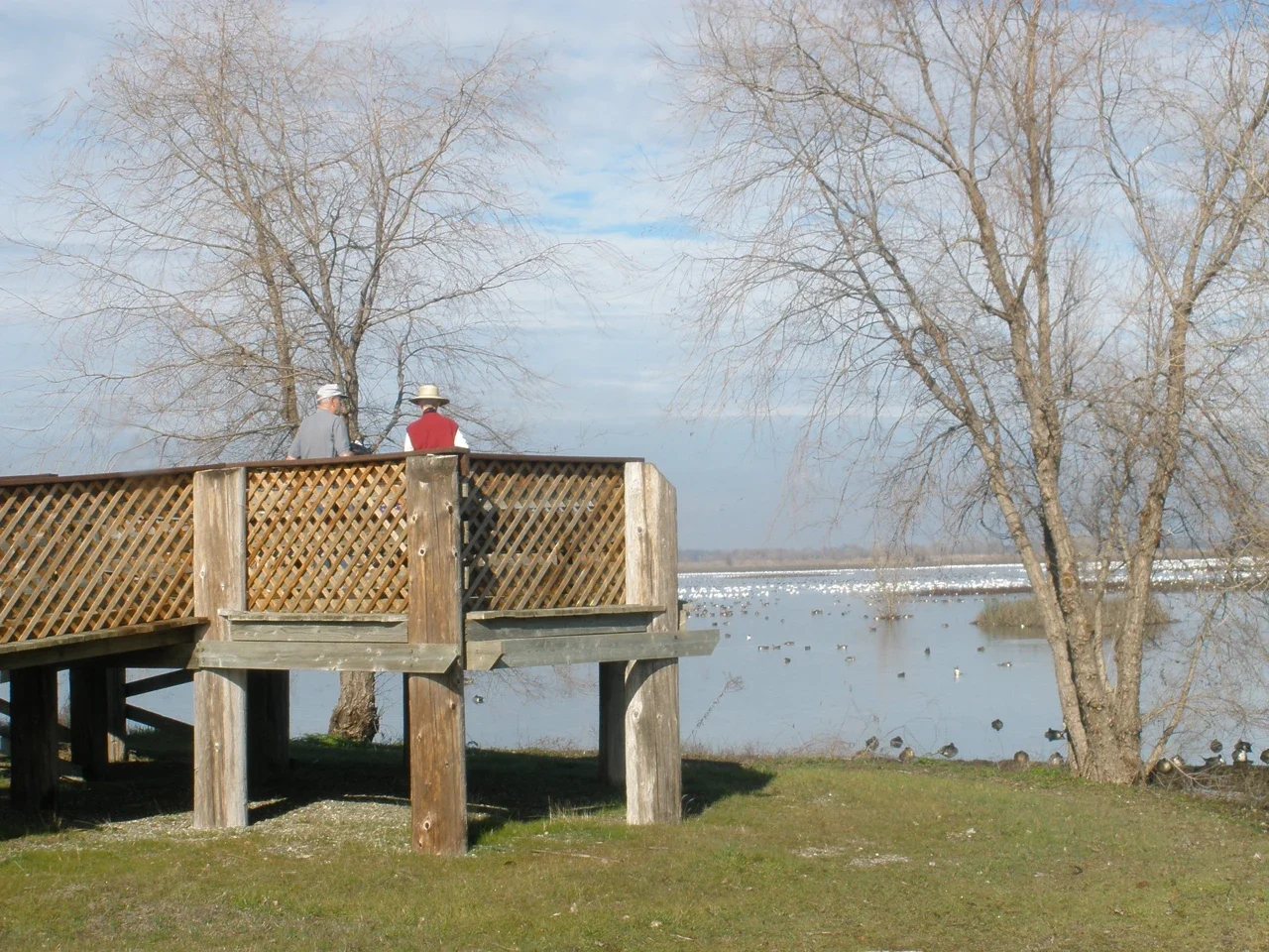 Visitors on the Llano Seco observation platform with waterbirds behind