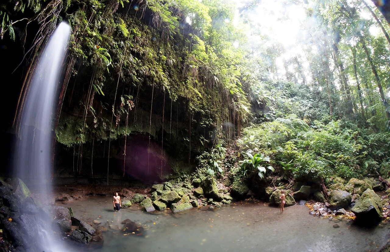 Dominika Emerald Pool doğal şelalesi, 2015