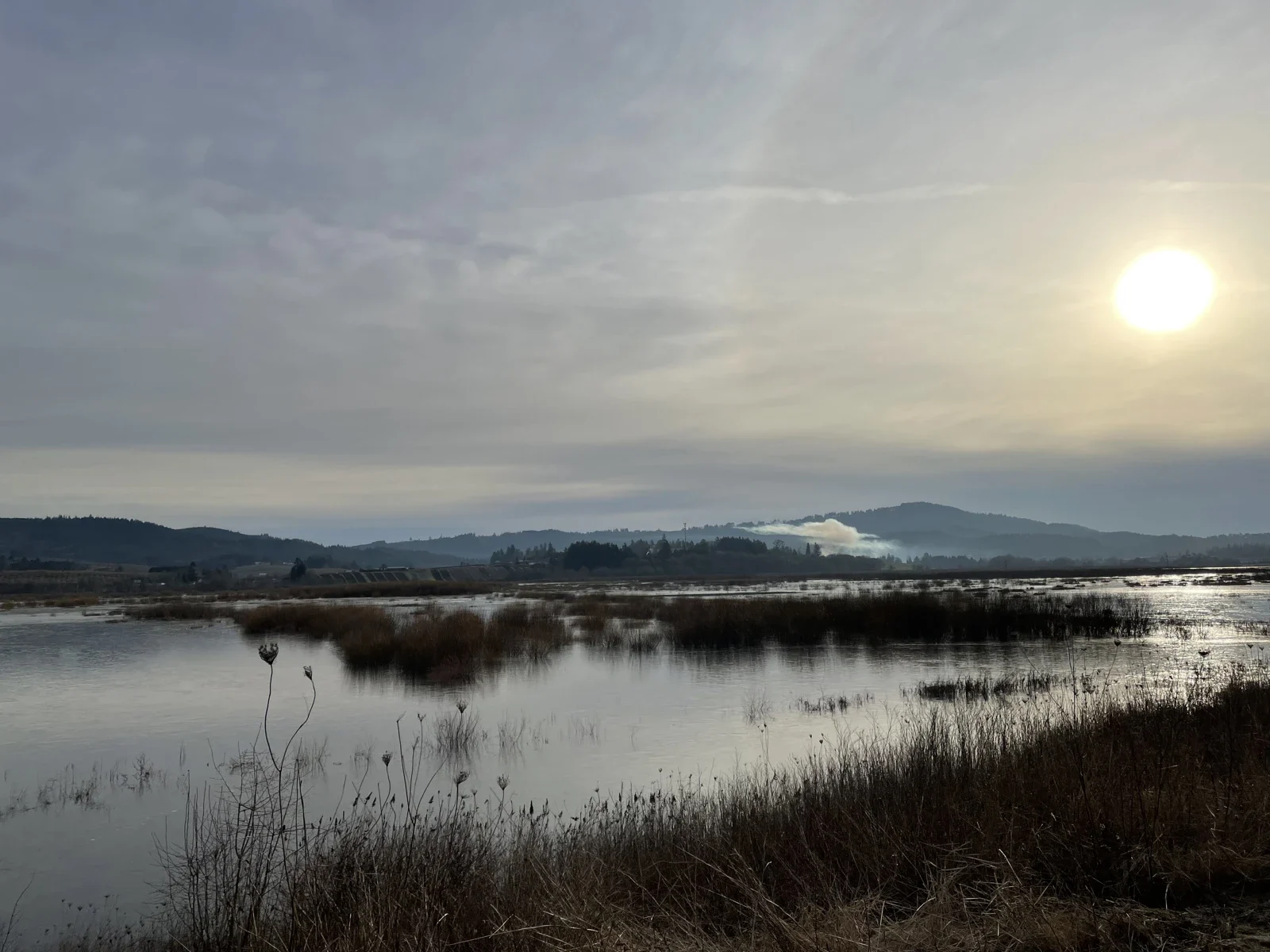 Gaston yakınındaki Wapato Lake sığınağının 2024 sulak alan arşivi; Fernhill değildir
