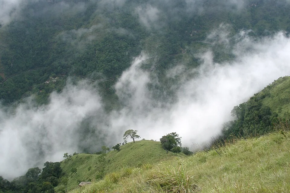 Forested mountain slopes of the Ella valley, Sri Lanka