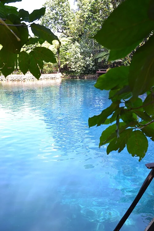 Water and vegetation at Nanda Blue Hole, Espiritu Santo, Vanuatu
