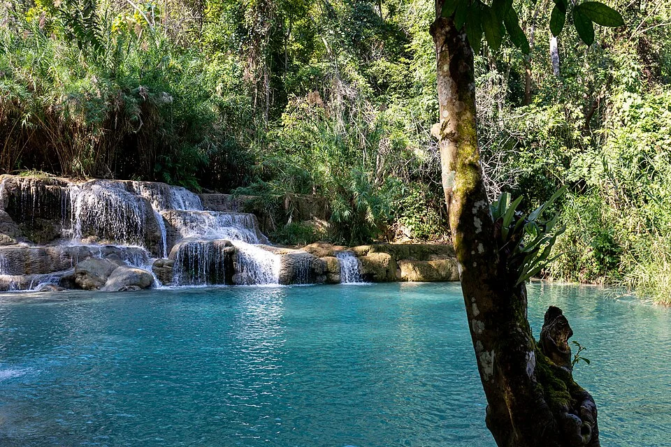 Luang Prabang yakınında Kuang Si şelaleleri