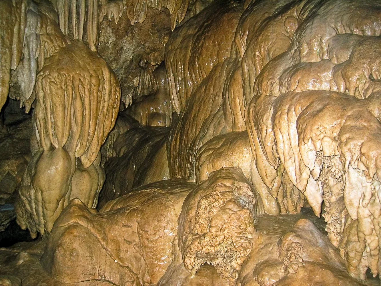 Oregon Caves Banana Grove bölümündeki mağara oluşumları; bölgesel arşiv