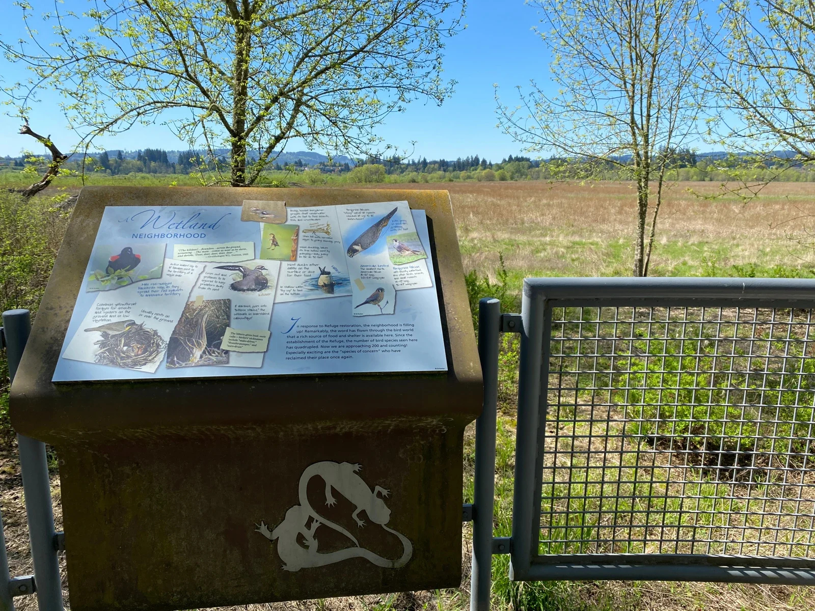 Interpretive panel overlooking natural wetland at Tualatin River refuge