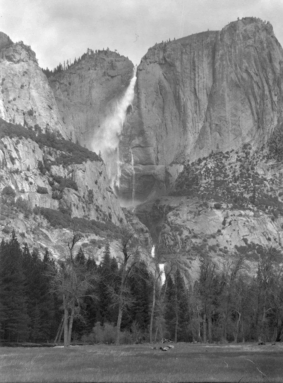 Yosemite Falls ve ağaçlar: tarihî siyah beyaz görüntü