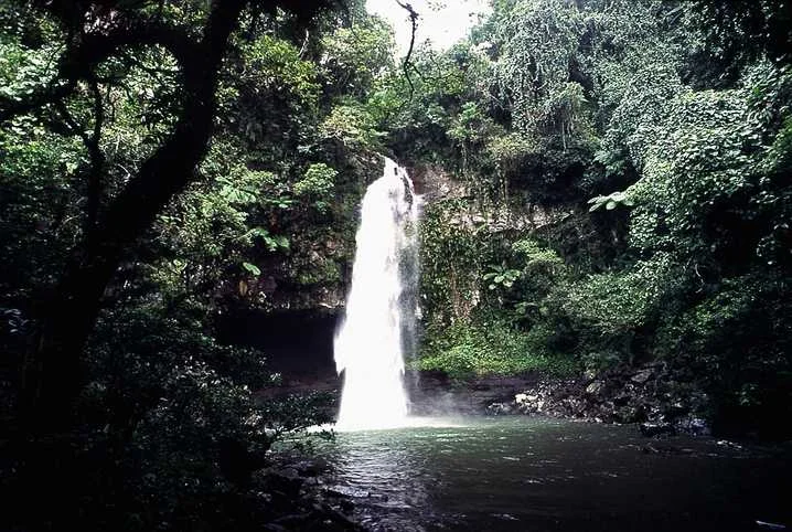 Taveuni adasında bir şelale, Şubat 1996; belirli park veya güncel erişim iddiası yok