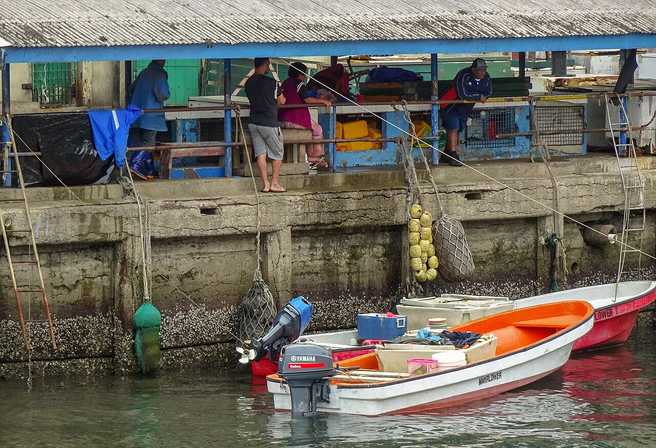 Suva Town Wharf çevresinde küçük tekneler, 2019; sefer veya tekne turu önerisi değildir