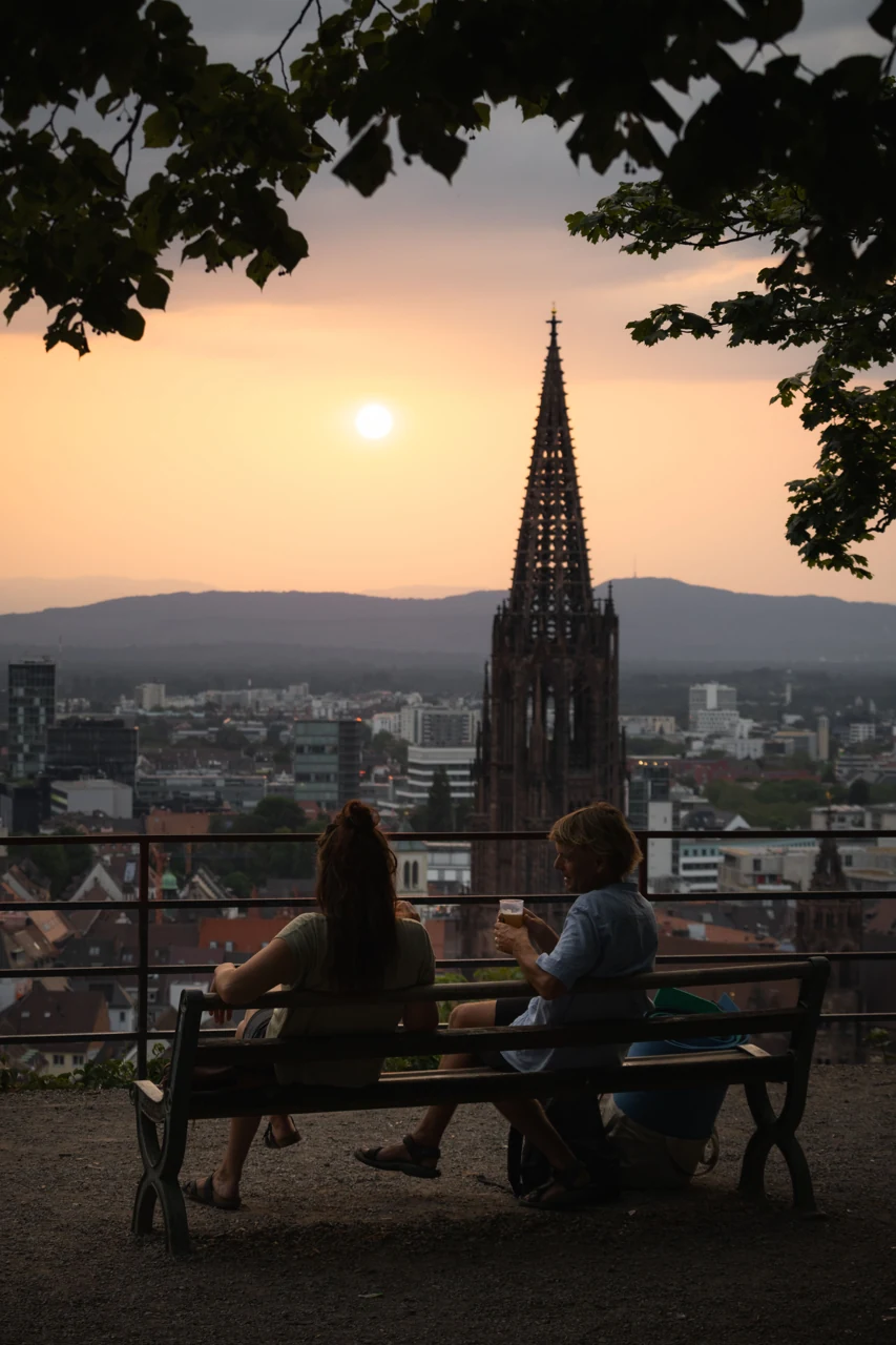 Two people seated beneath a tree with Freiburg’s city view at sunset