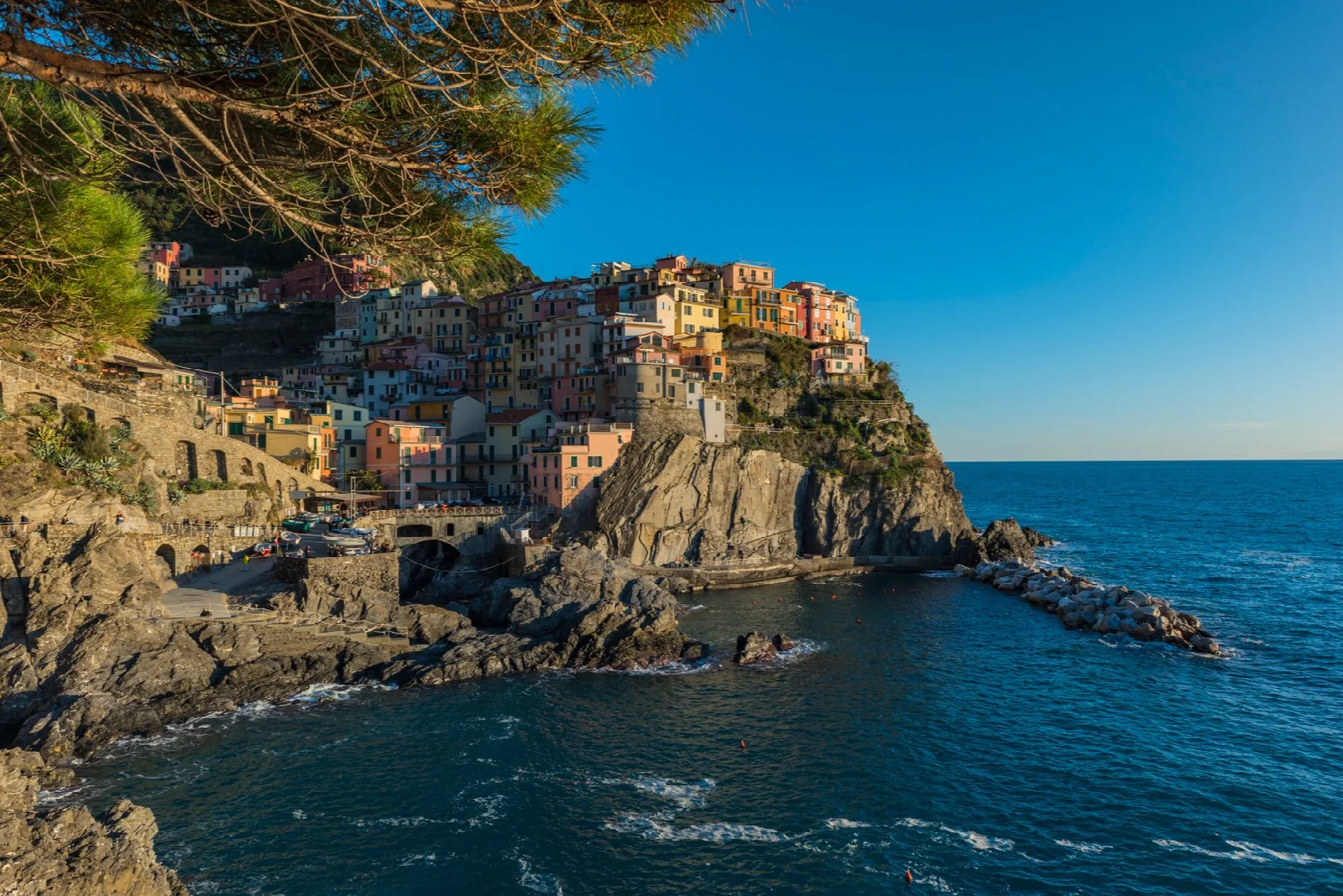 Colorful houses above the rocky coast and Ligurian Sea at Manarola