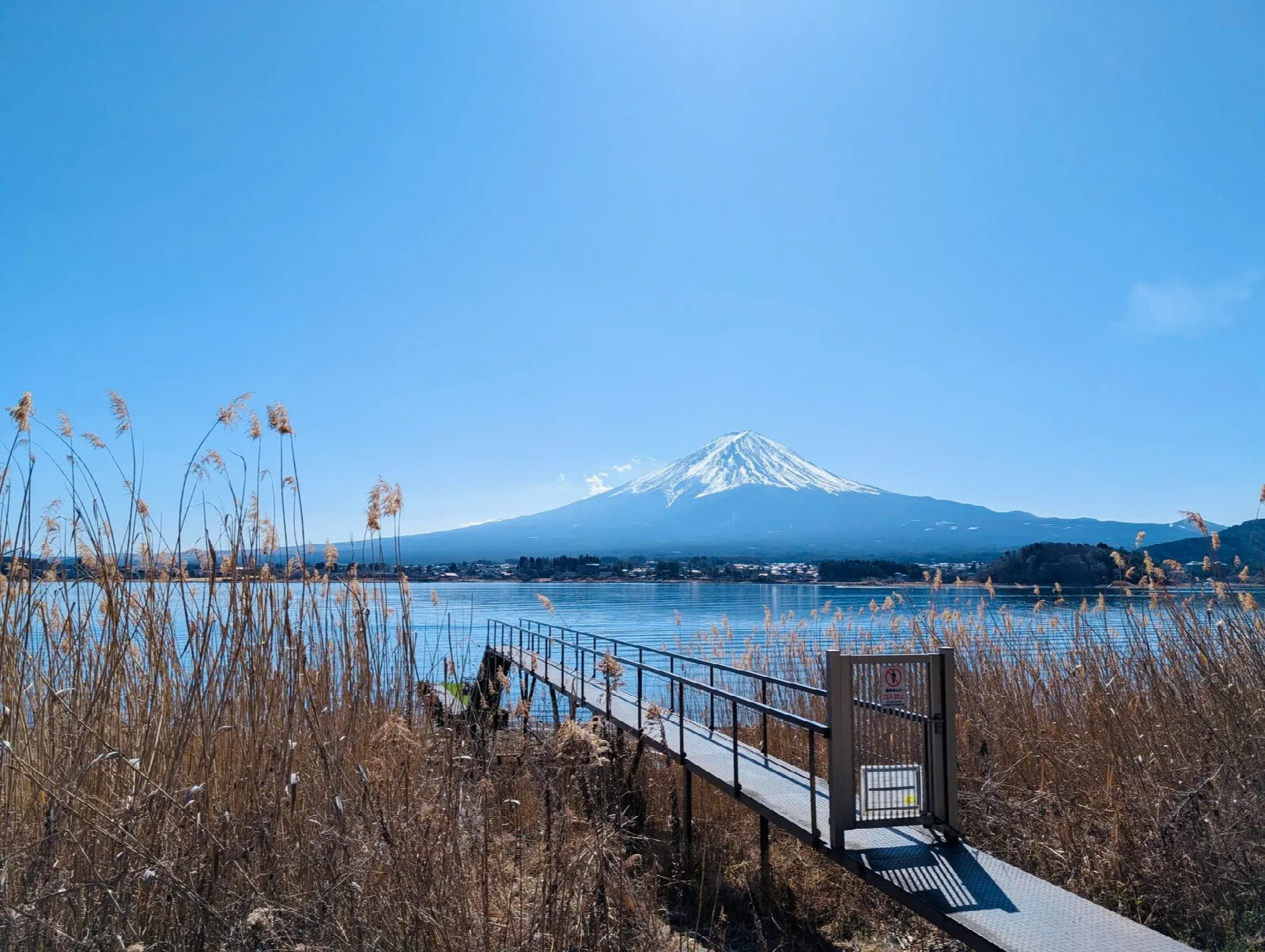 Kawaguchiko Gölü kıyısından açık gökyüzü altında Fuji Dağı