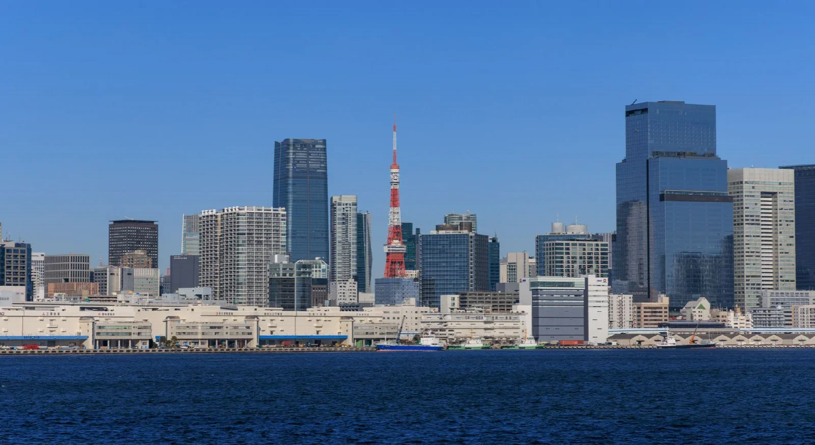 Tokyo Tower ve kent manzarası; gerçek şehir bağlamı, belirli bir restoran masasından manzara değildir.